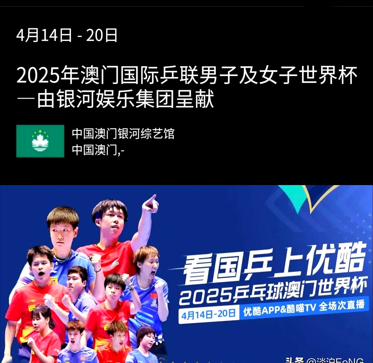 乒乓球淘汰赛焦点战：漓江天狼队鏖战西城白虎队，新星闪耀。主场山呼海啸